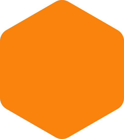 https://zedskillslimited.com/wp-content/uploads/2020/09/hexagon-orange-huge.png